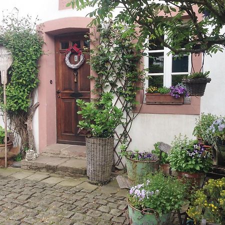 All Seasons Bed & Breakfast Kerpen  Luaran gambar